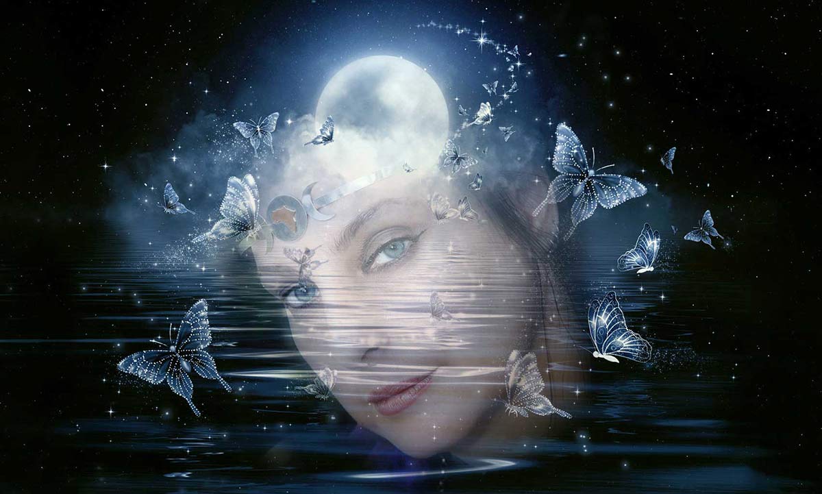 Donna Darkwolf's Magic by Moonlight